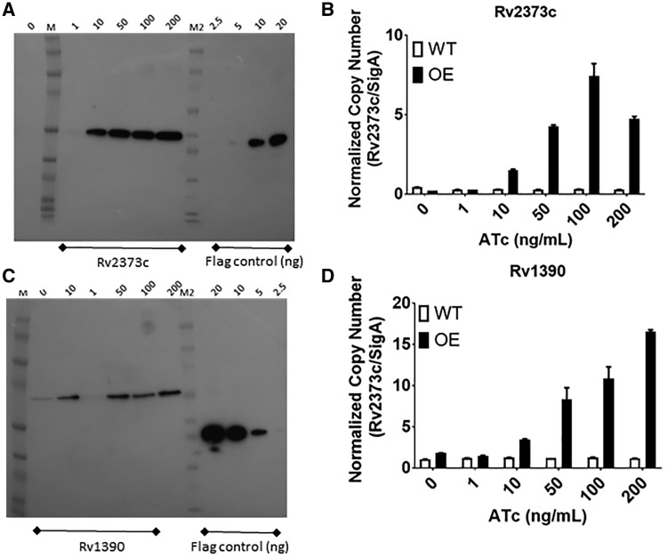 Figure 5: