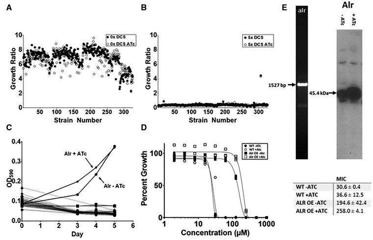 Figure 6: