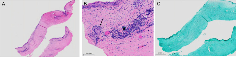 Fig. 9