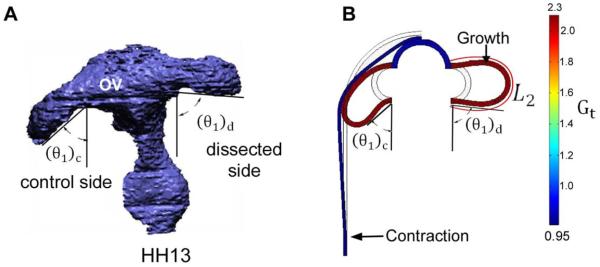 Figure 8