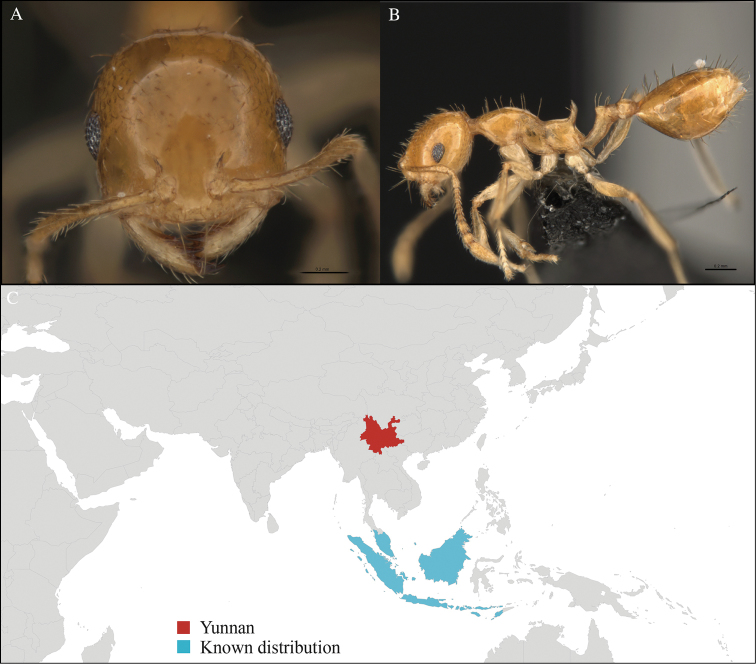 Figure 28.