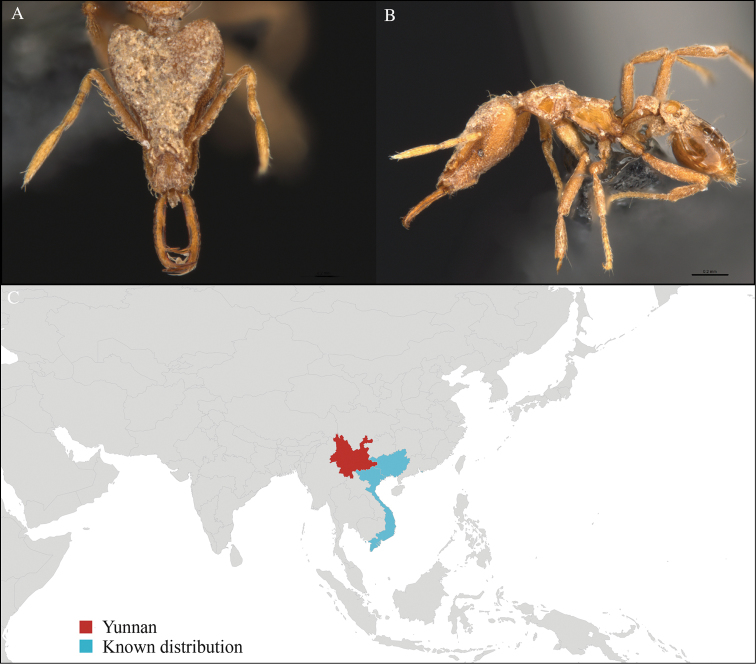 Figure 34.