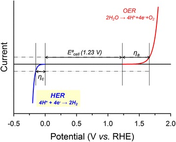 Fig. 1