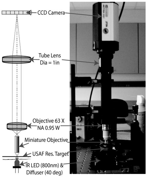 Fig. 10