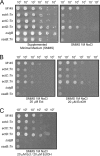 FIG. 2.