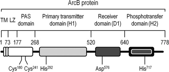 Fig 1