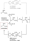 Scheme 54