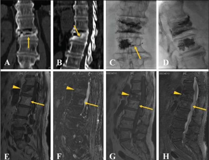 Figure 1)