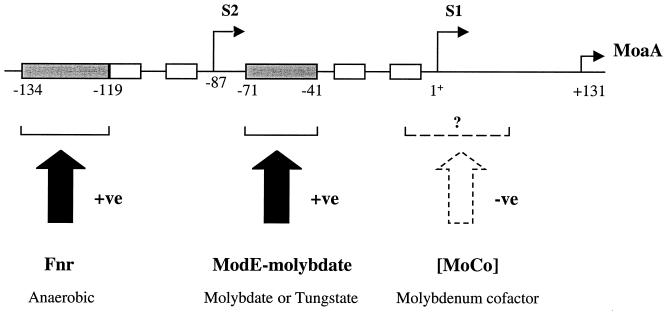 FIG. 6