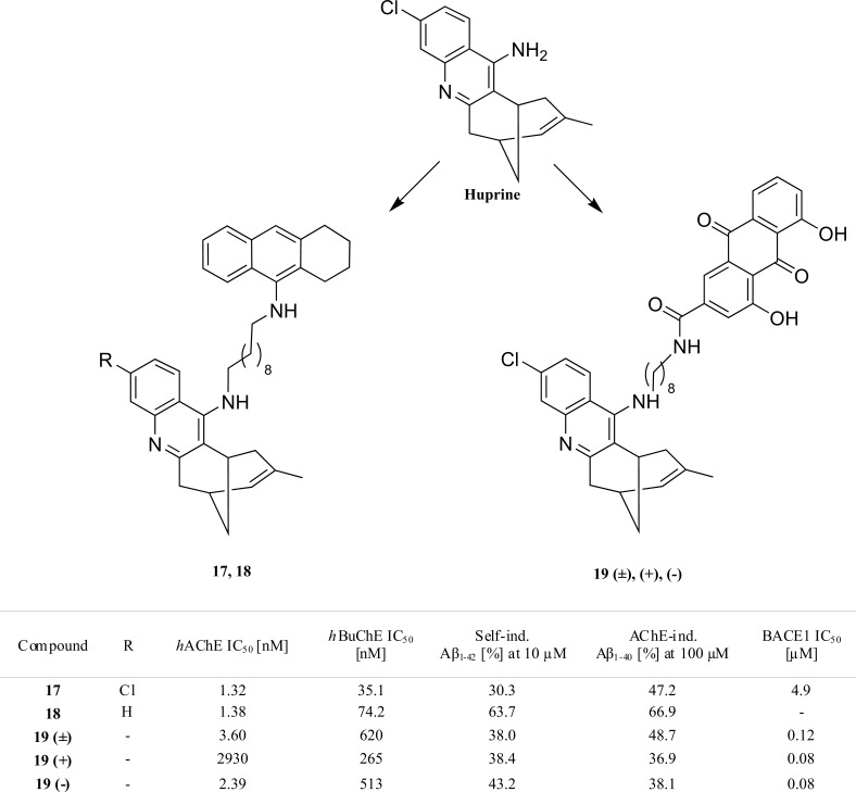 Fig.(11)
