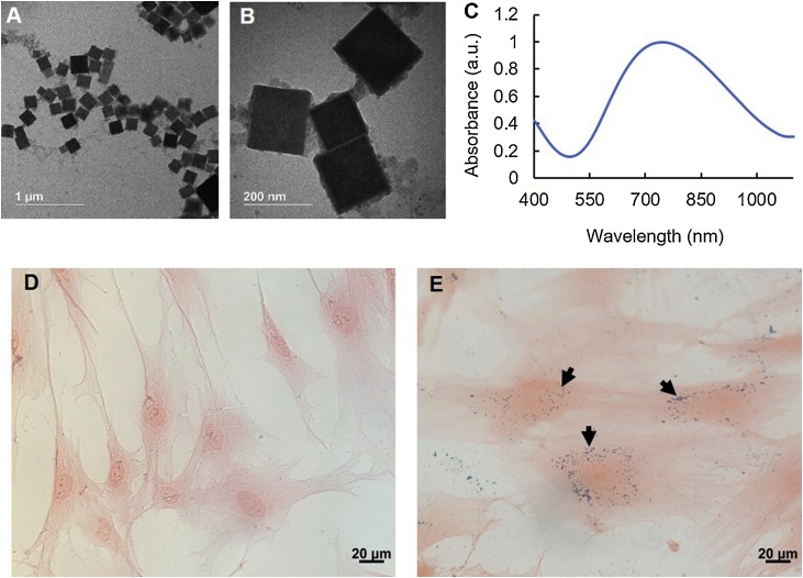 Fig. 1