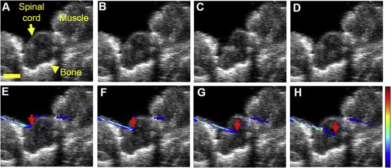 Fig. 4