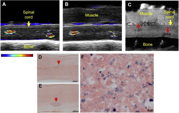 Fig. 7