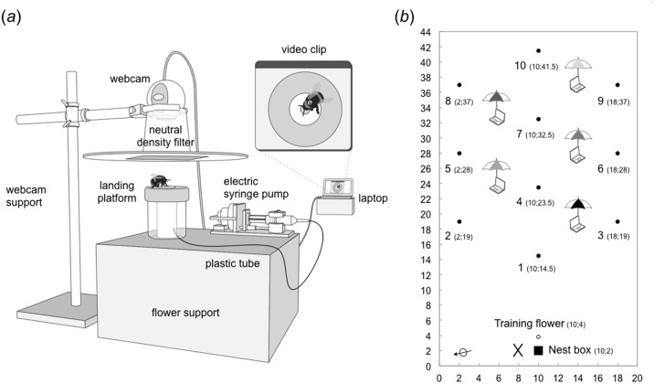 Fig 2