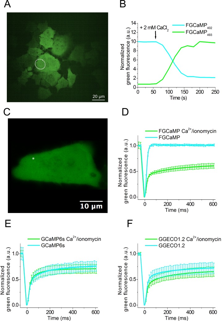 Fig 4