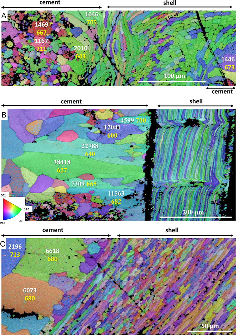 Fig. 10