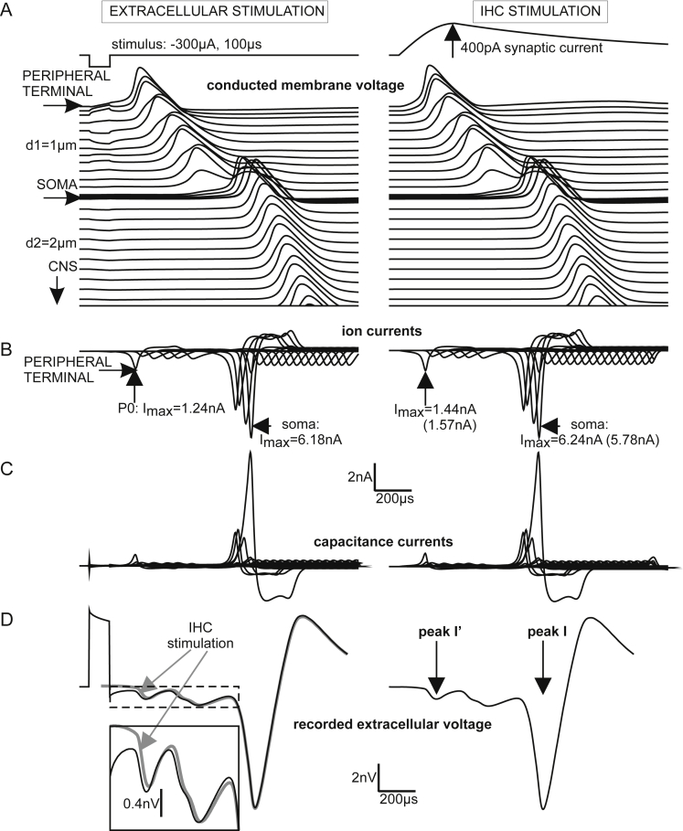 Fig. 7