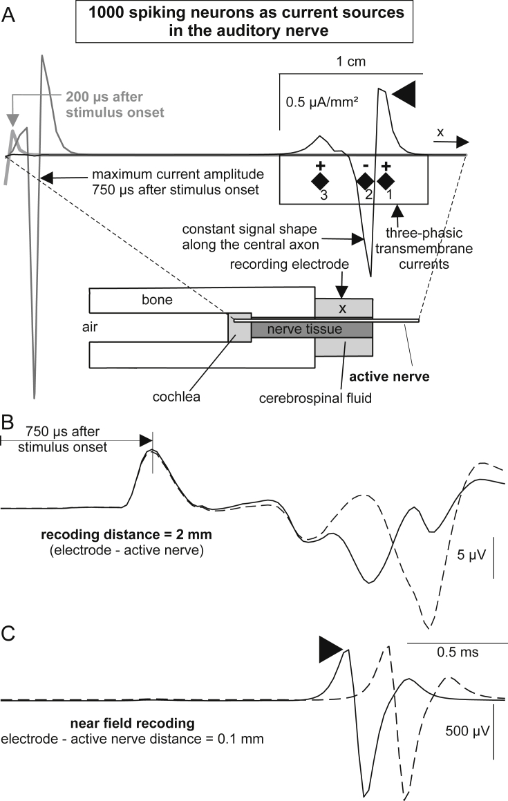 Fig. 11