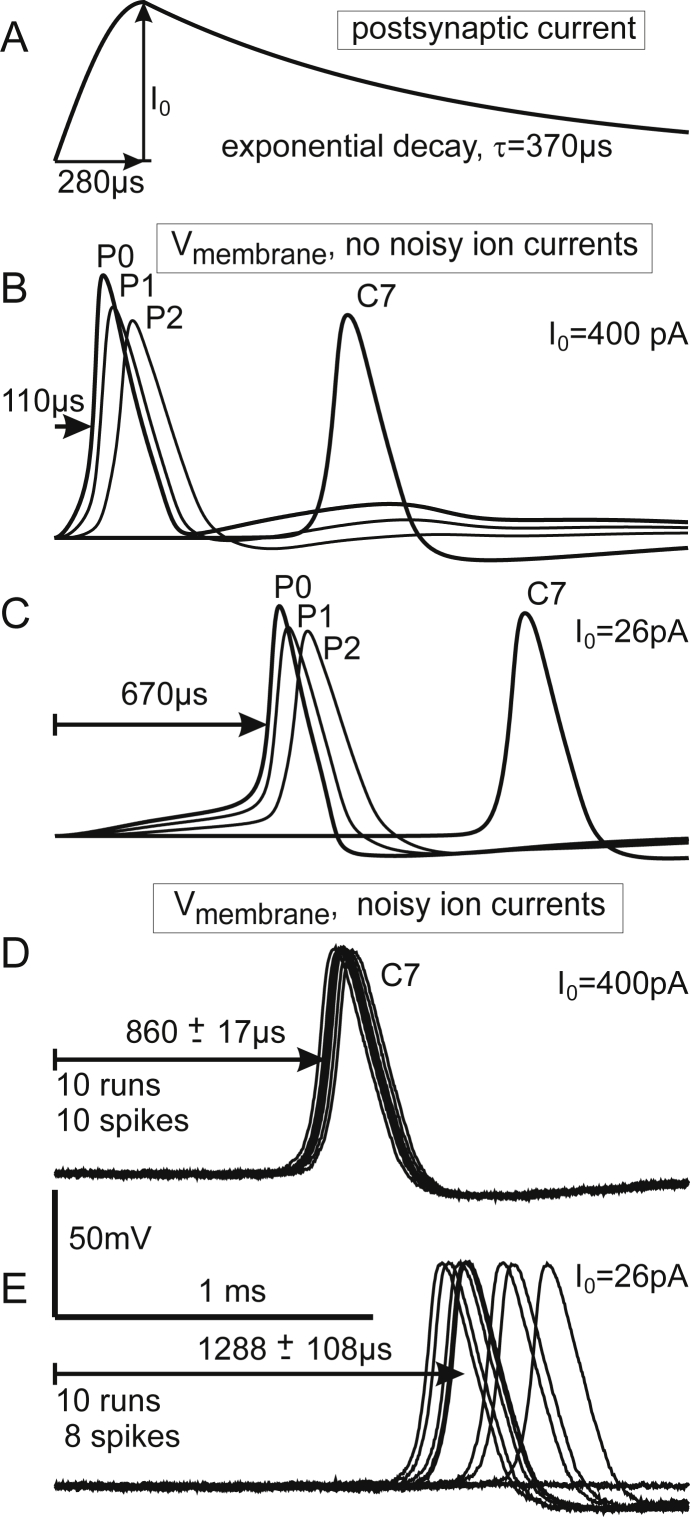 Fig. 5