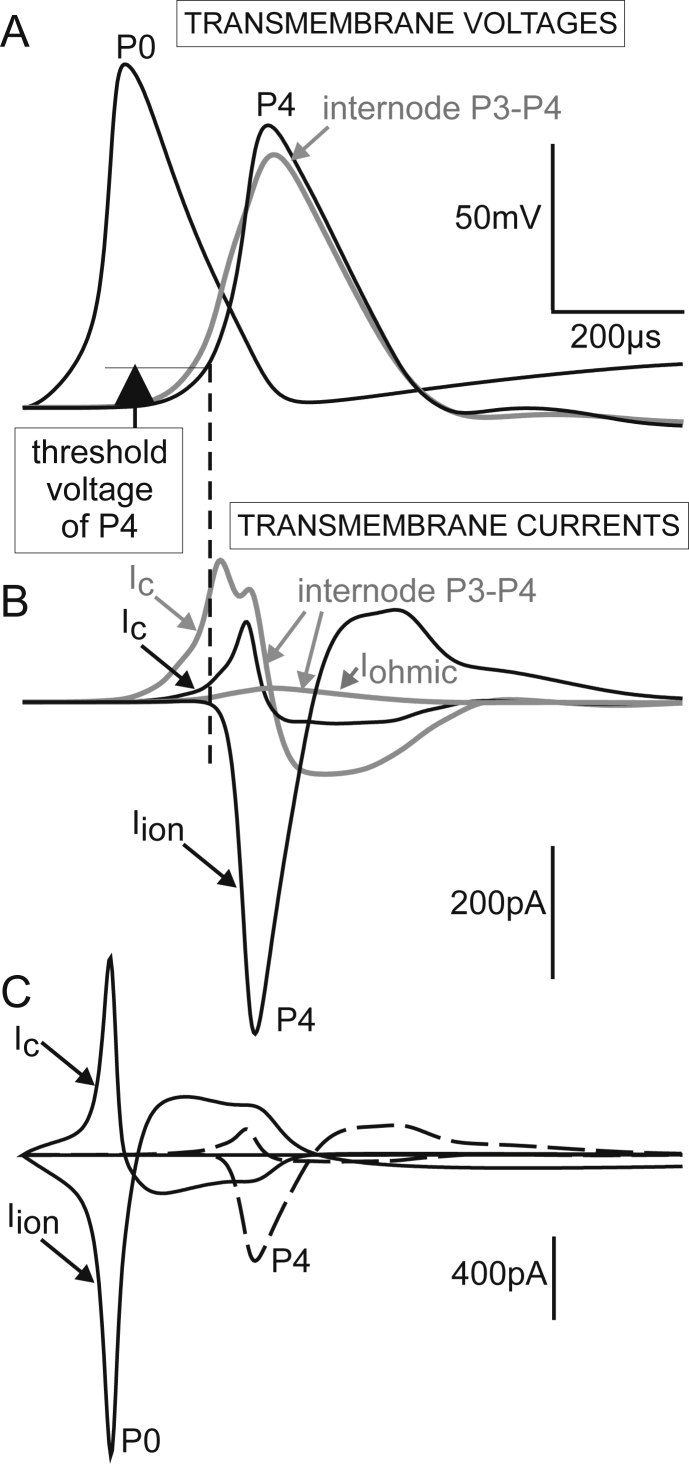 Fig. 6