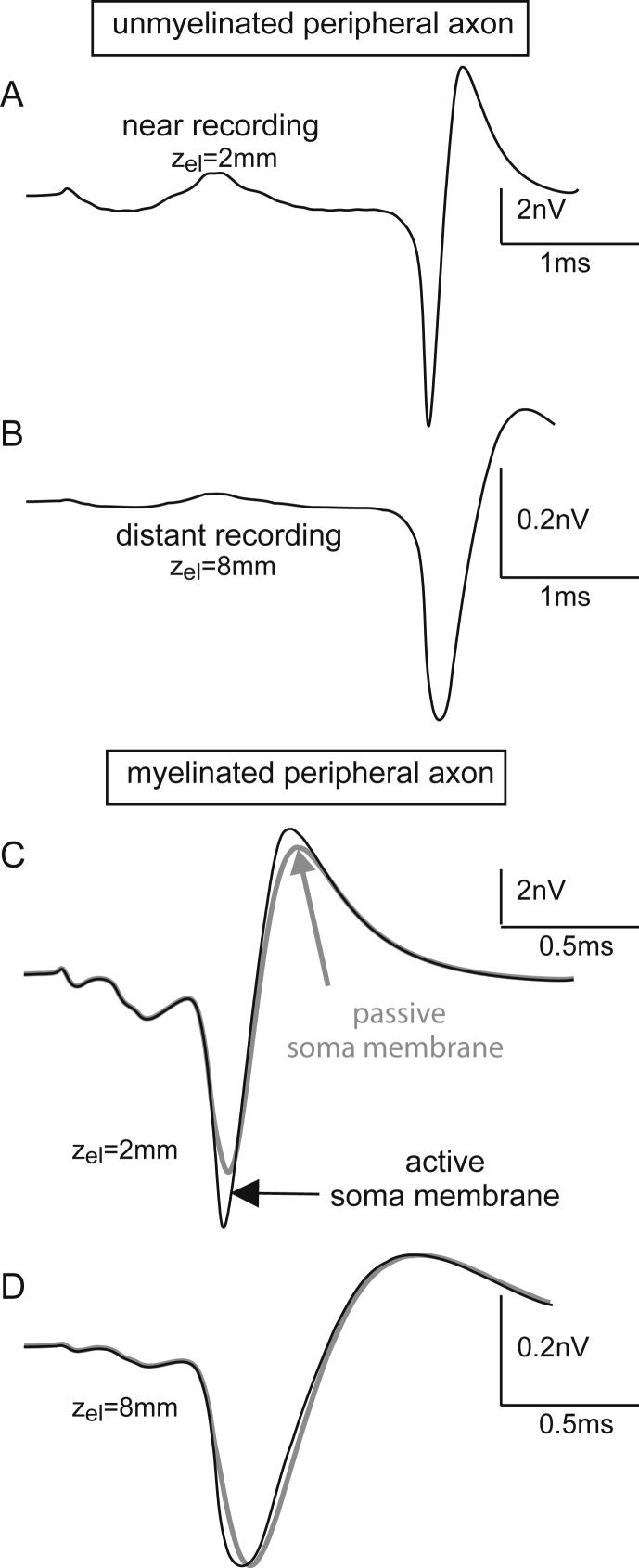 Fig. 10