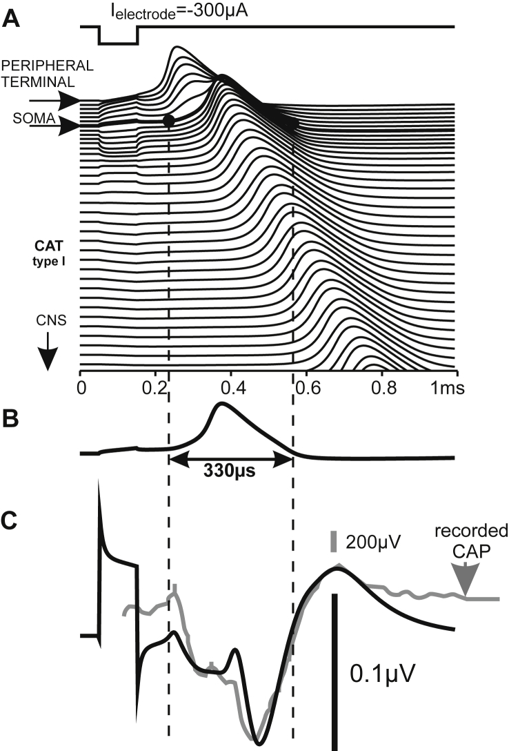 Fig. 3