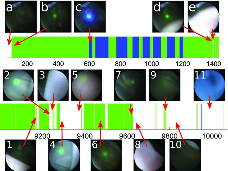 Fig. 10