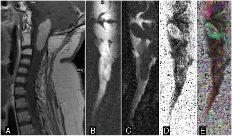 FIG. 6.