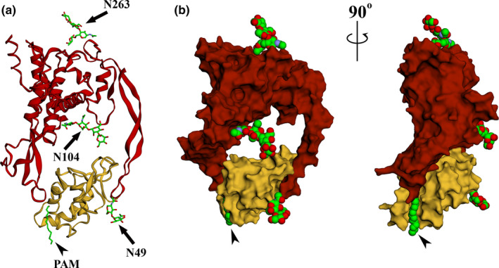 FIGURE 2