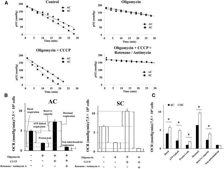 Figure 6