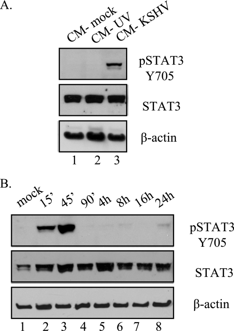 FIG. 5.