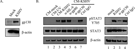 FIG. 7.