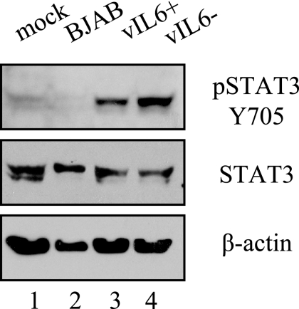 FIG. 8.