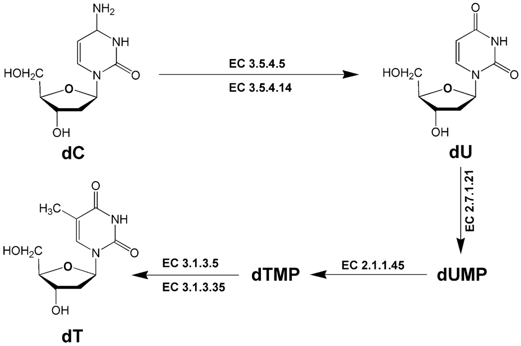 FIG. 6