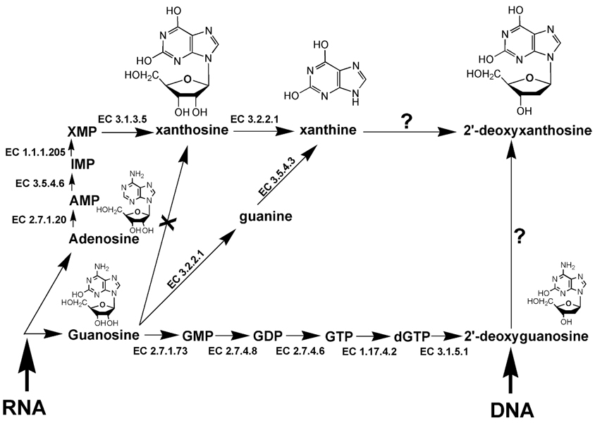 FIG. 7