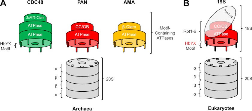 FIGURE 4.