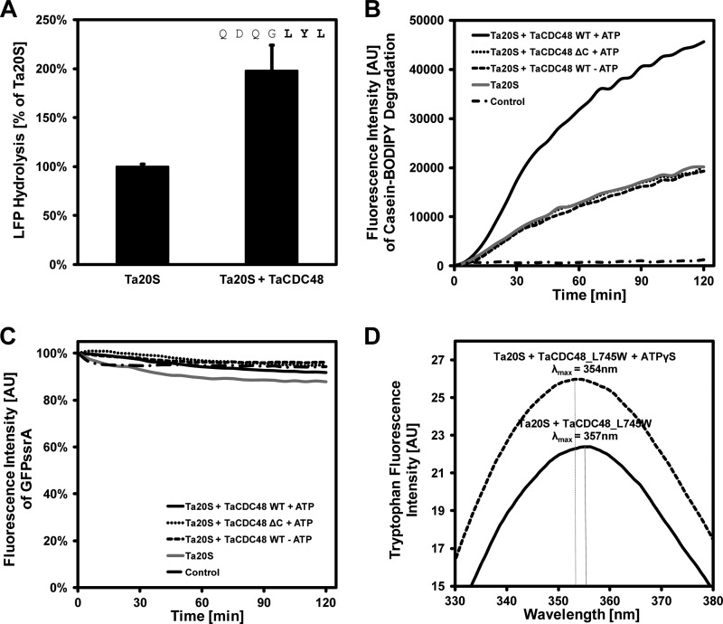 FIGURE 2.