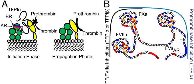 Fig. 7.