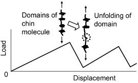 Figure 8.