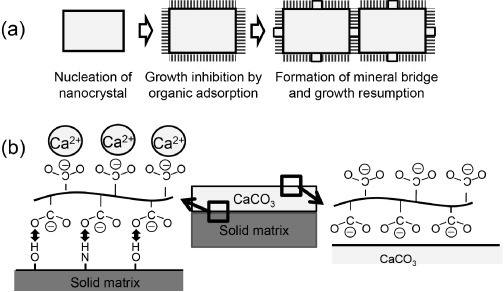 Figure 11.