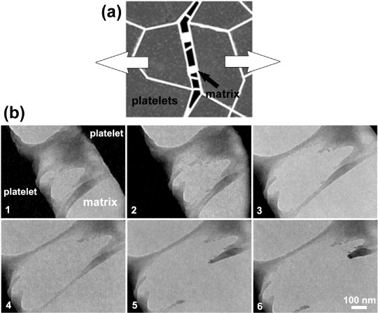 Figure 9.