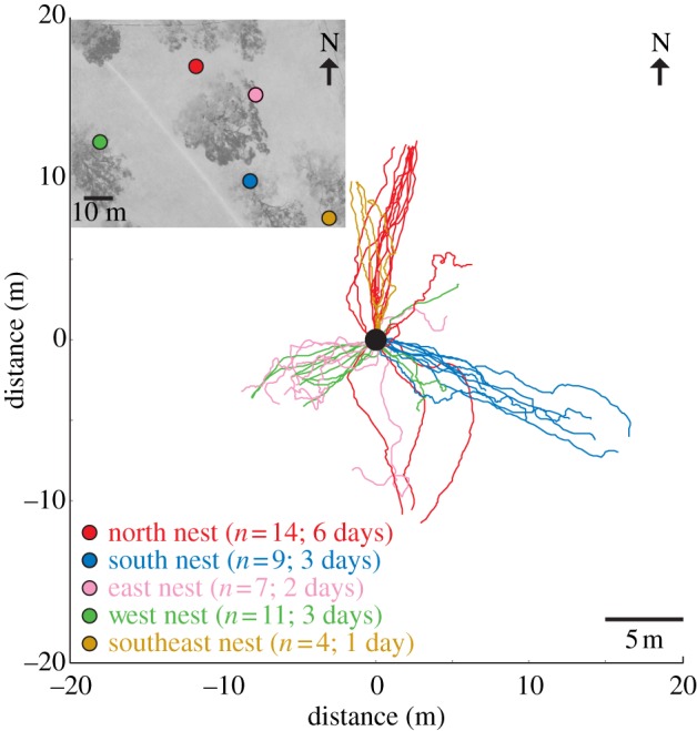 Figure 1.