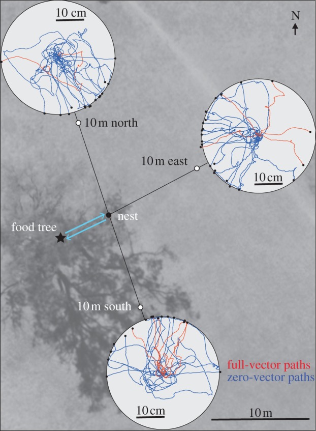 Figure 3.