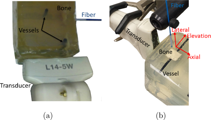 Fig. 2