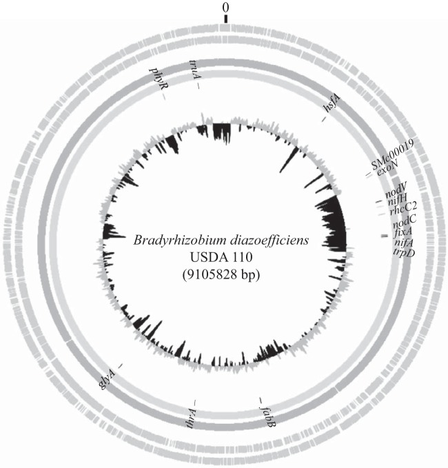 FIG 1