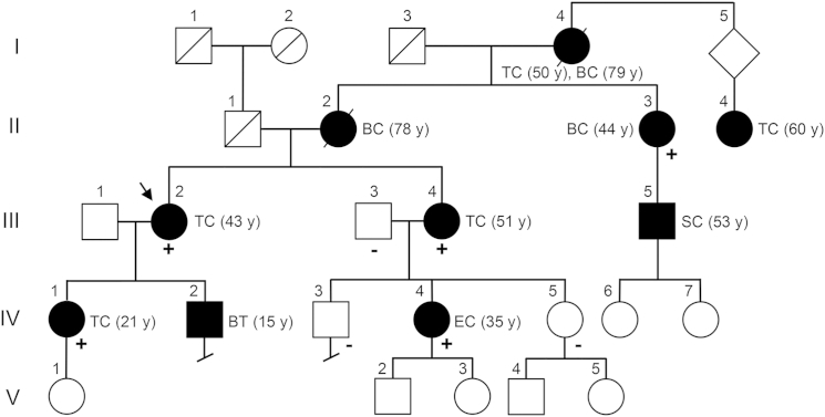 Figure 1