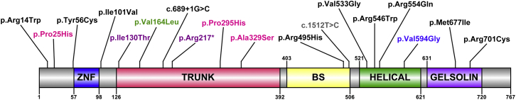 Figure 2