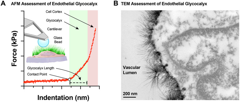 Figure 10.