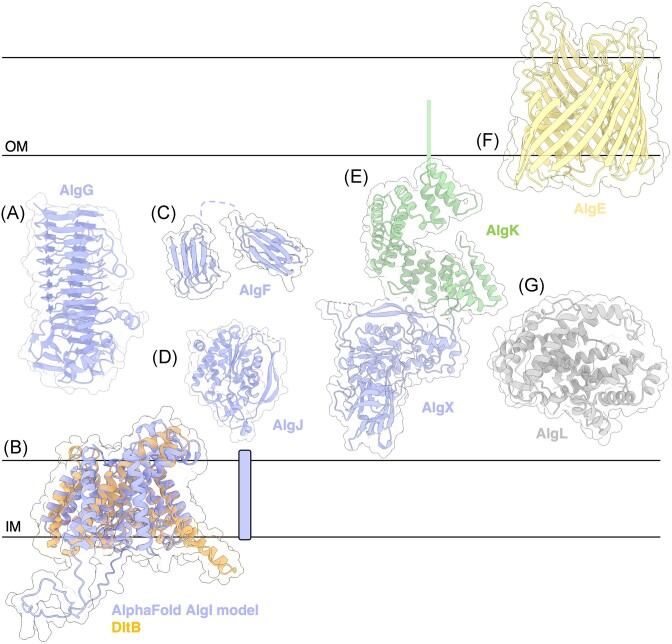 Figure 4.