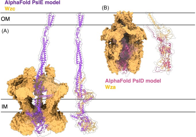 Figure 12.